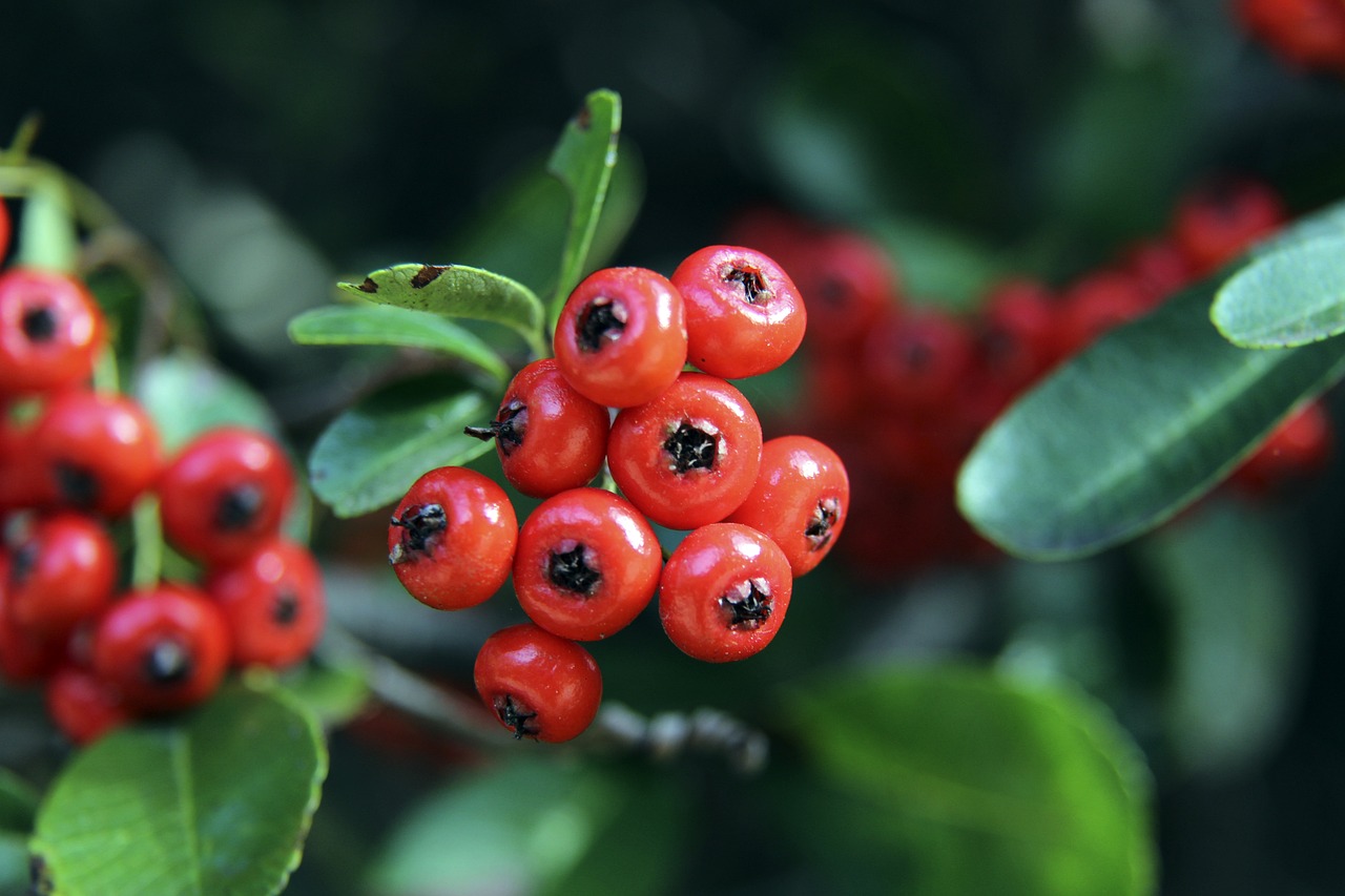 若隐若现 若隐若现