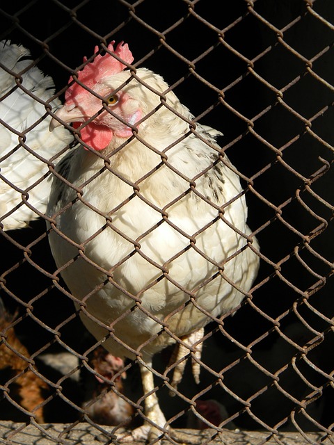 疑都将用汗 疑都将用汗