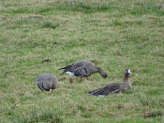 有針對性地 有針對性地